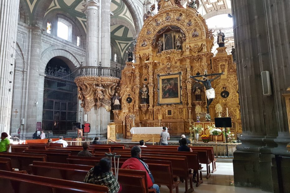 Dr Hakim Hassan at Mexico 2018, photo 9 of 28