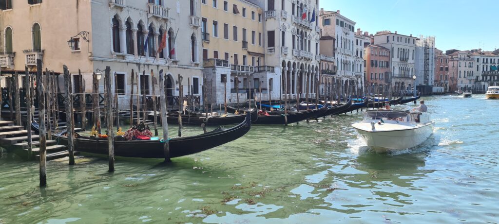 Dr Hakim Hassan at Venice, Italy 2023, photo 3 of 12