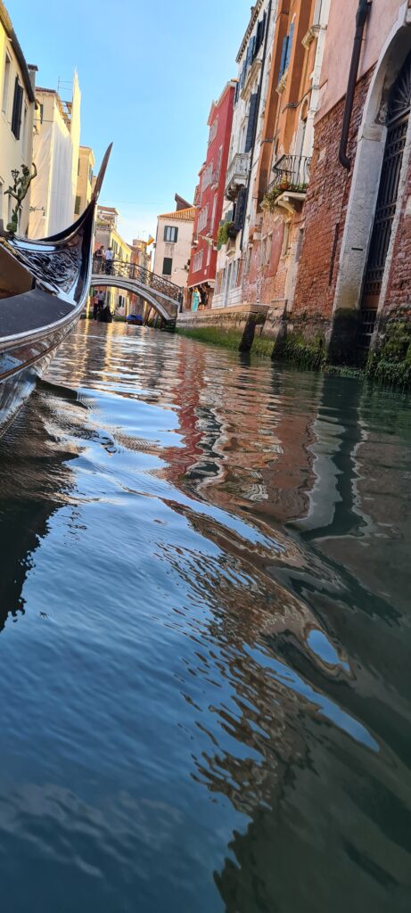 Dr Hakim Hassan at Venice, Italy 2023, photo 10 of 12