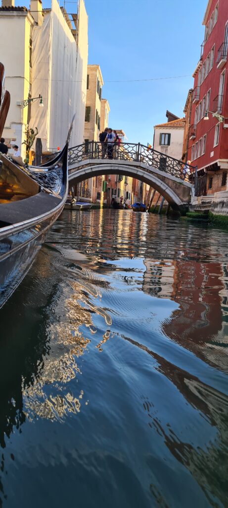Dr Hakim Hassan at Venice, Italy 2023, photo 11 of 12